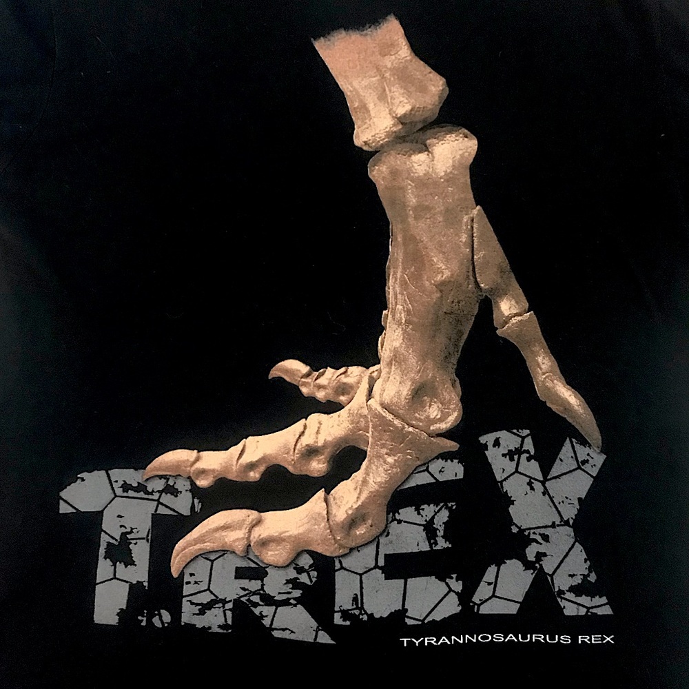 T Rex 🦖 Dinosaur T